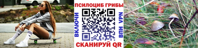 кракен ONION  Кизилюрт  Галлюциногенные грибы Cubensis 