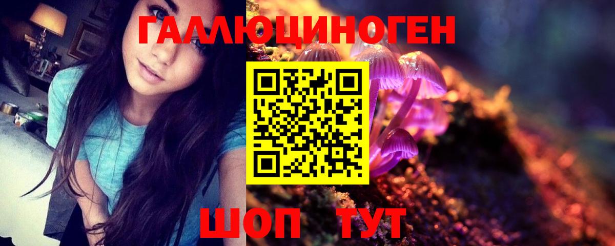 где можно купить наркотик  Псилоцибиновые грибы ЛСД  Вход с VPN  Кизилюрт 